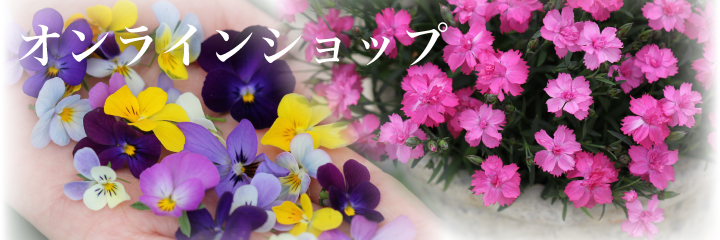 ショップビルボード