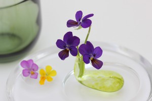 VF-6 IMG_7879(切花）