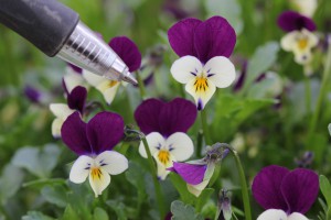 VF-22 IMG_0044（バイカラー）