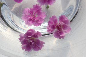 N8A-2 IMG_8344