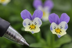 VF-14 IMG_7031ライトブルー１