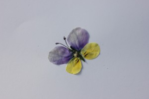 VF-5 IMG_5687（押し花）