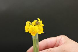 img_4163