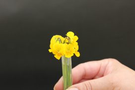 img_4164