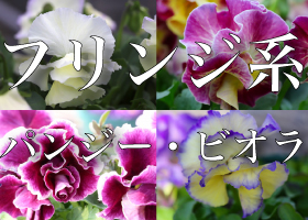 TAG index